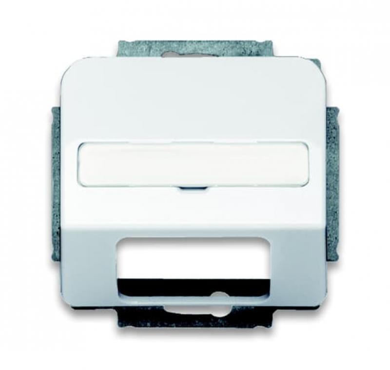 Busch-Jaeger 1769-24G Zentralscheibe mit Beschriftungsfeld