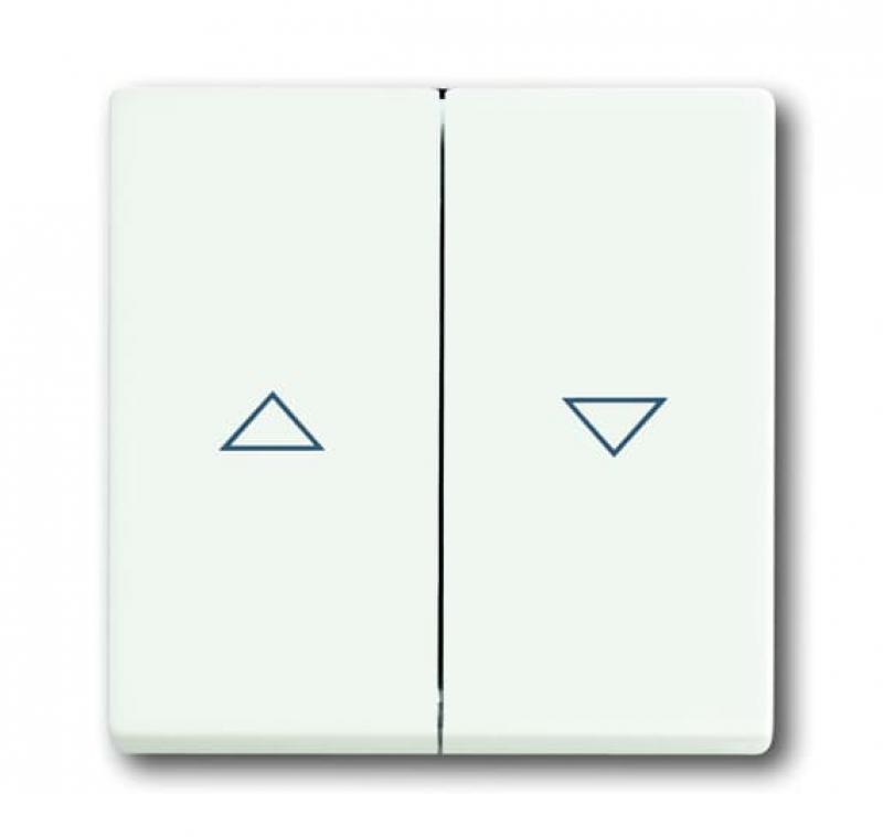 Busch-Jaeger 1785 JA-884 Wippe mit Aufdruck