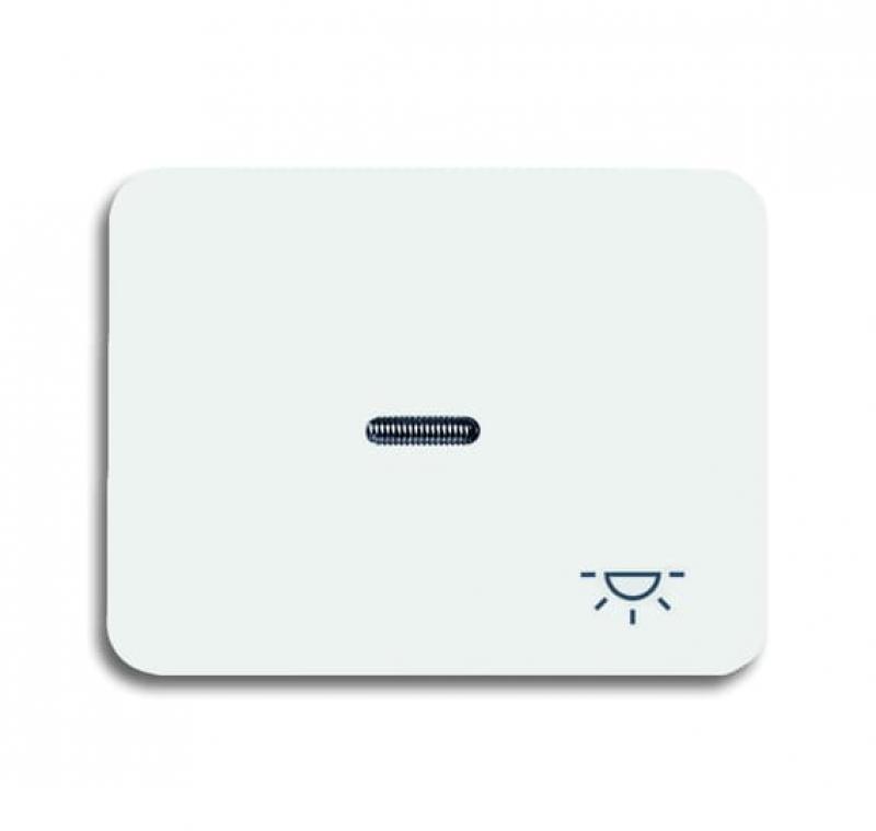 Busch-Jaeger 1789 LI-24G Wippe mit Aufdruck mit kleiner transparenter Kalotte