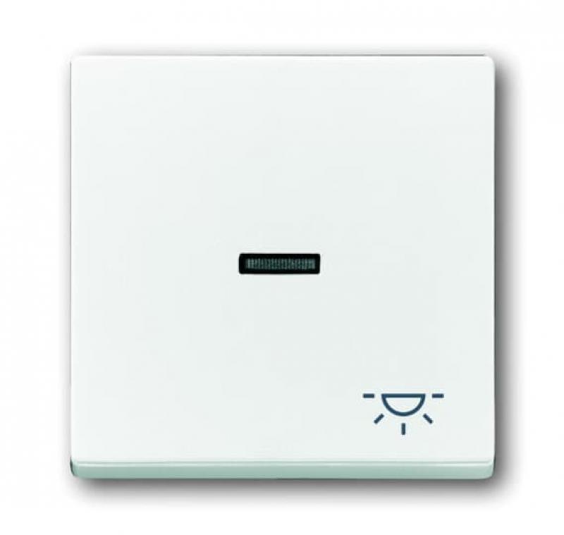 Busch-Jaeger 1789 LI-84 Wippe mit Aufdruck mit kleiner transparenter Kalotte