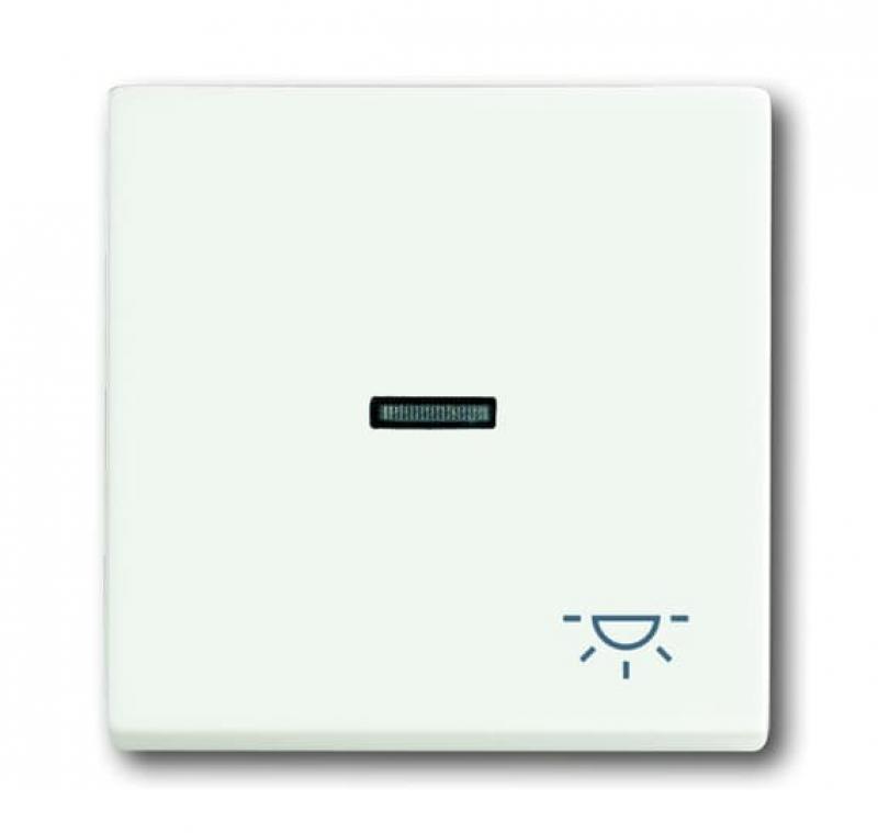 Busch-Jaeger 1789 LI-884 Wippe mit Aufdruck mit kleiner transparenter Kalotte