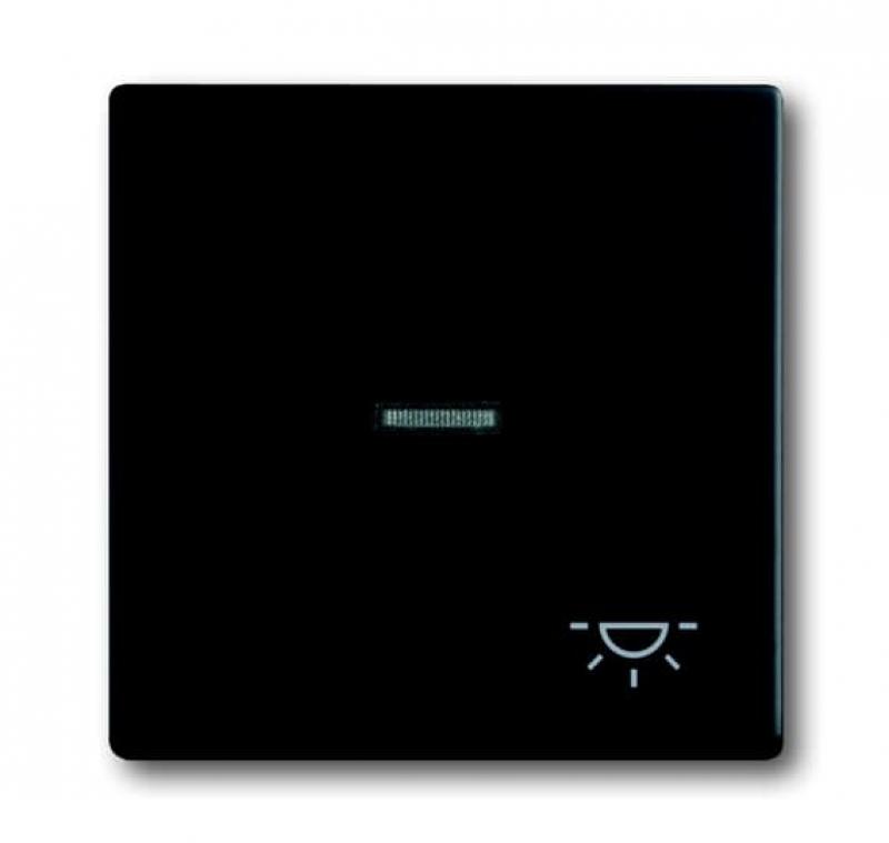 Busch-Jaeger 1789 LI-885 Wippe mit Aufdruck mit kleiner transparenter Kalotte