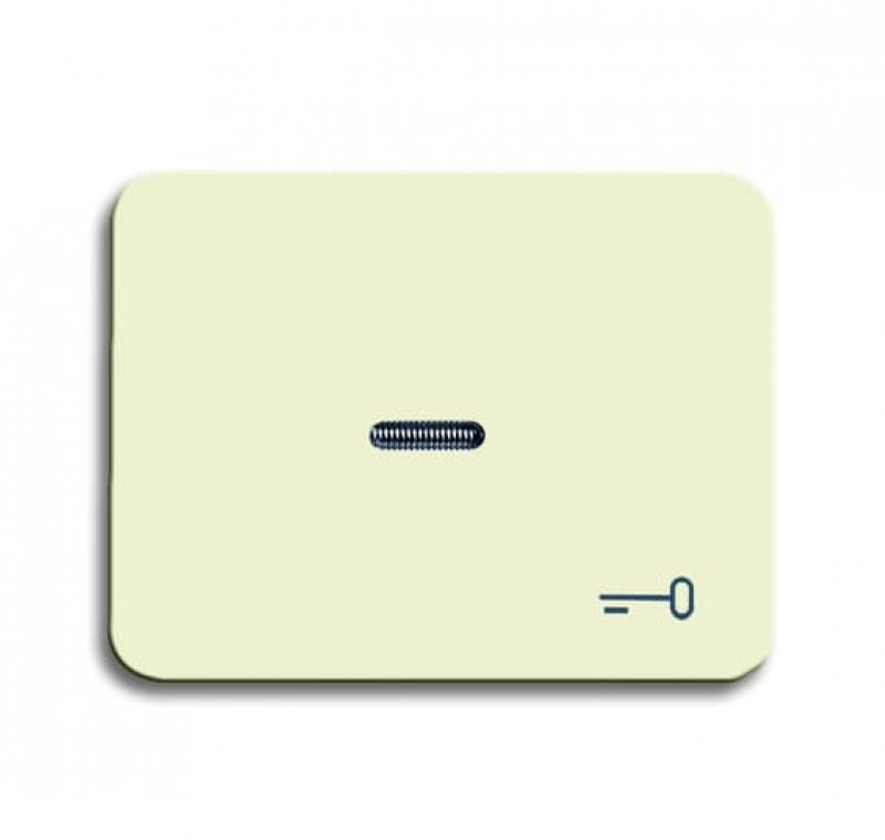 Busch-Jaeger 1789 TR-22G Wippe mit Aufdruck mit kleiner transparenter Kalotte