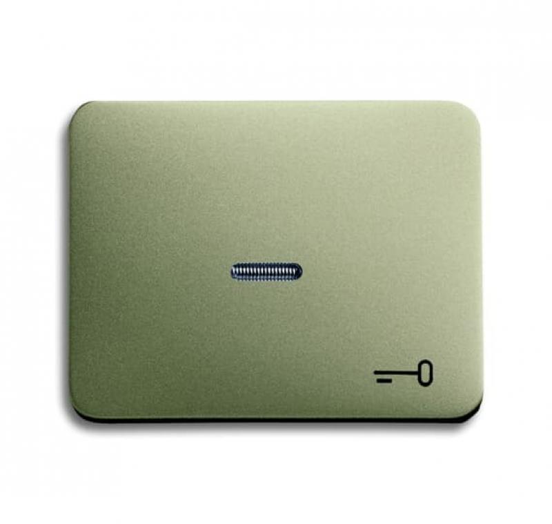 Busch-Jaeger 1789 TR-260 Wippe mit Aufdruck mit kleiner transparenter Kalotte