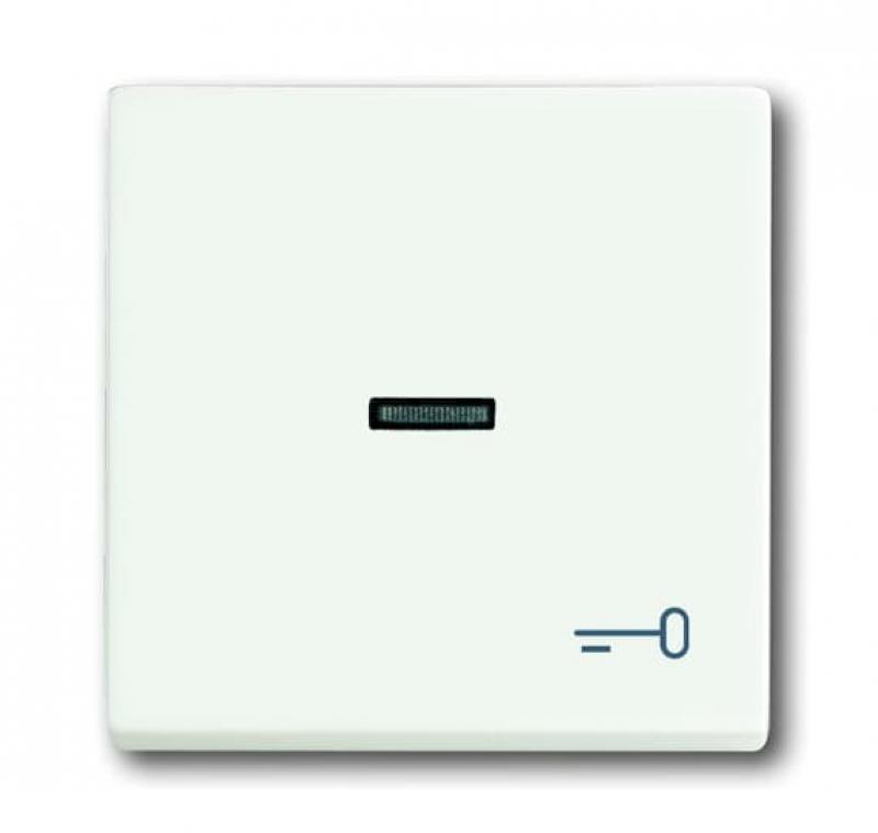 Busch-Jaeger 1789 TR-884 Wippe mit Aufdruck mit kleiner transparenter Kalotte