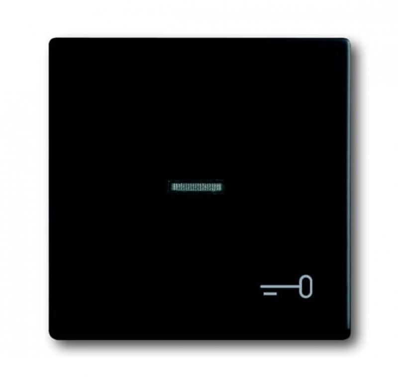 Busch-Jaeger 1789 TR-885 Wippe mit Aufdruck mit kleiner transparenter Kalotte