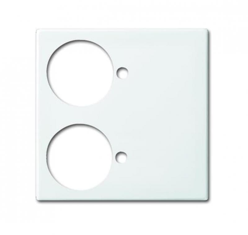 Busch-Jaeger 1790-592-914 Zentralscheibe