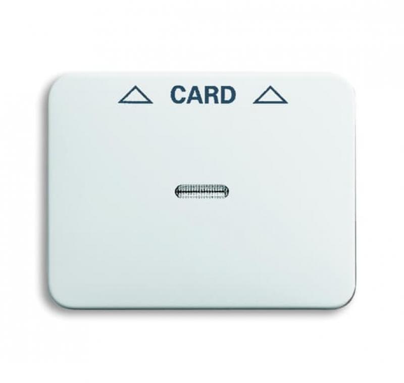 Busch-Jaeger 1792-24G-101 Zentralscheibe Cardschalter