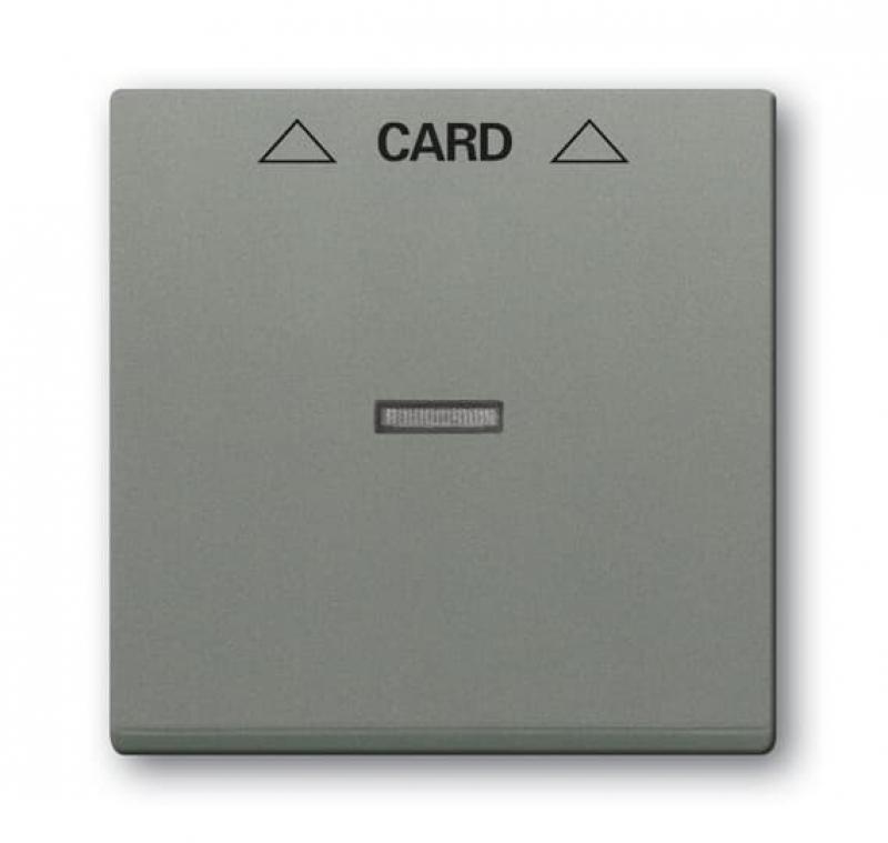 Busch-Jaeger 1792-803 Zentralscheibe