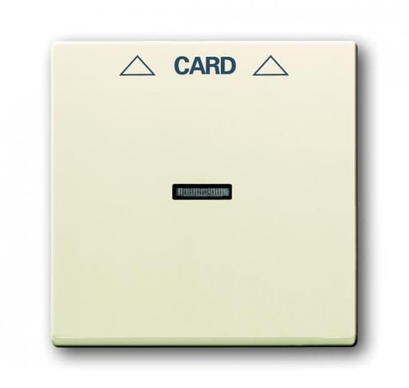 Busch-Jaeger 1792-82 Zentralscheibe