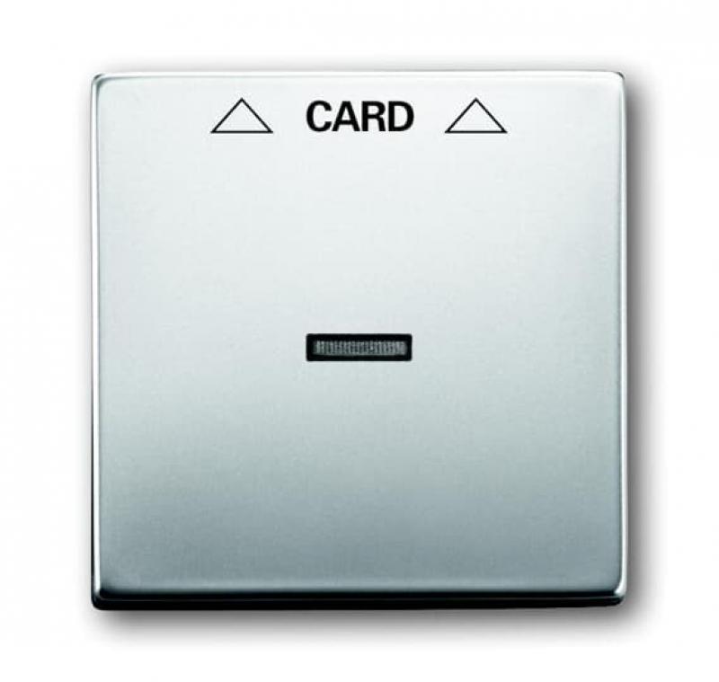 Busch-Jaeger 1792-866 Zentralscheibe