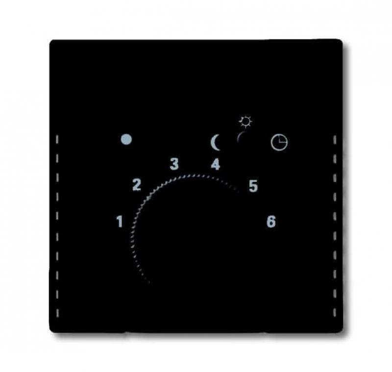 Busch-Jaeger 1795-885 Zentralscheibe für Raumtemperaturregler