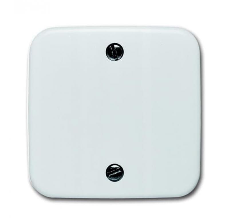 Busch-Jaeger 1796-214 Zentralscheibe für Zugschalter 2610/6 UC-xx 2610/6 UJ-xx