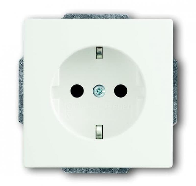 Busch-Jaeger 20 EUC-884 SCHUKO® Steckdosen-Einsatz