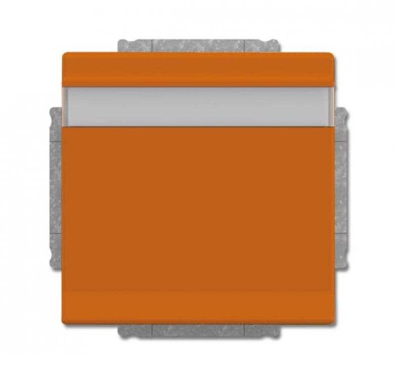 Busch-Jaeger 20 EUKNB-12-82 SCHUKO® Steckdosen-Einsatz mit Klappdeckel und Beschriftungsfeld