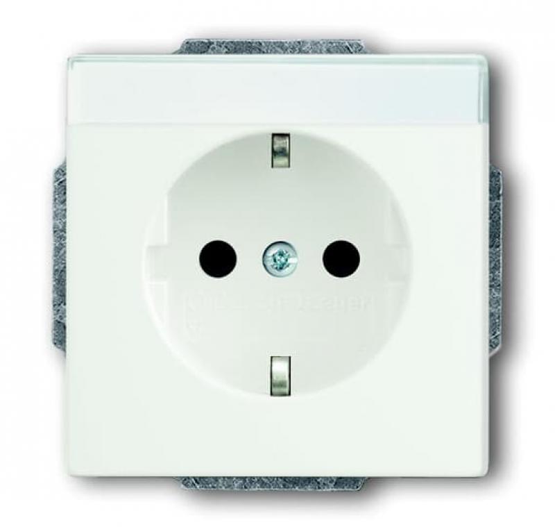Busch-Jaeger 20 EUN-884 SCHUKO® Steckdosen-Einsatz mit Beschriftungsfeld