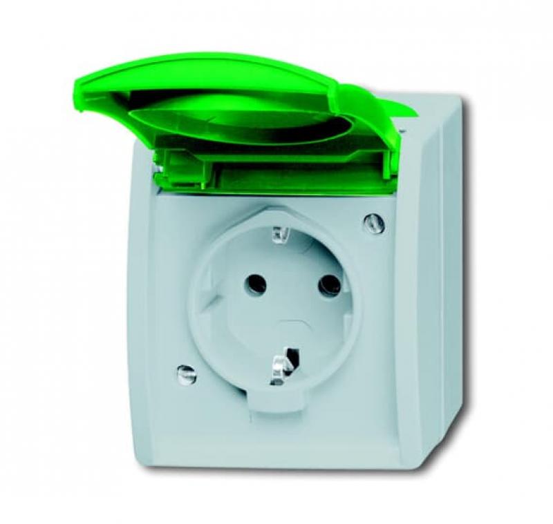 Busch-Jaeger 20 EWN-13-53 SCHUKO® Steckdose mit grünem Klappdeckel