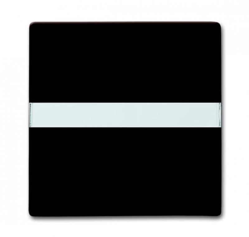 Busch-Jaeger 2106 N-31 Wippe mit Beschriftungsfeld