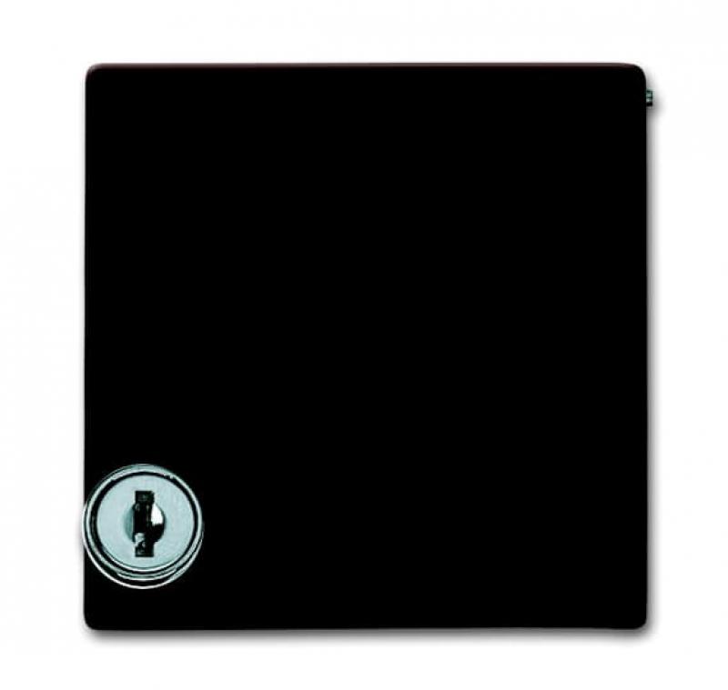 Busch-Jaeger 2118 GKSL-31 Zwischenring mit Klappdeckel abschließbar verschieden schließend