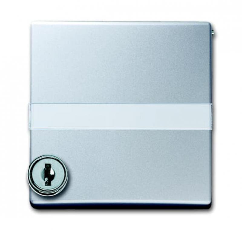 Busch-Jaeger 2118 GKSLN/11-33 Zwischenring mit Klappdeckel abschließbar gleich schließend