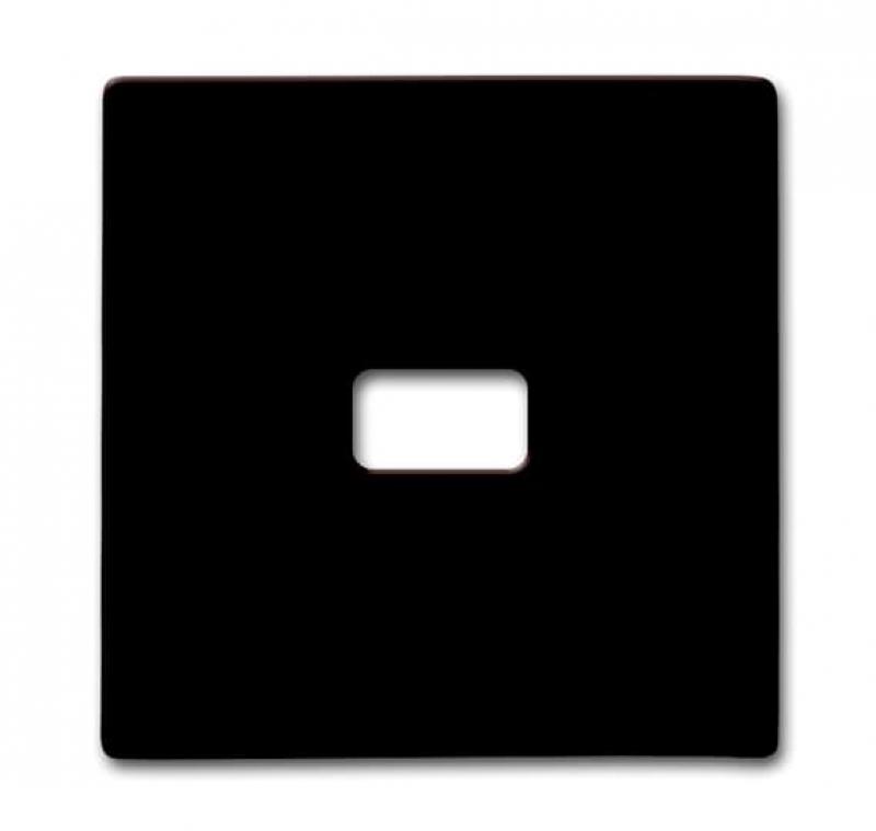 Busch-Jaeger 2120-31 Wippe offen für Symbol