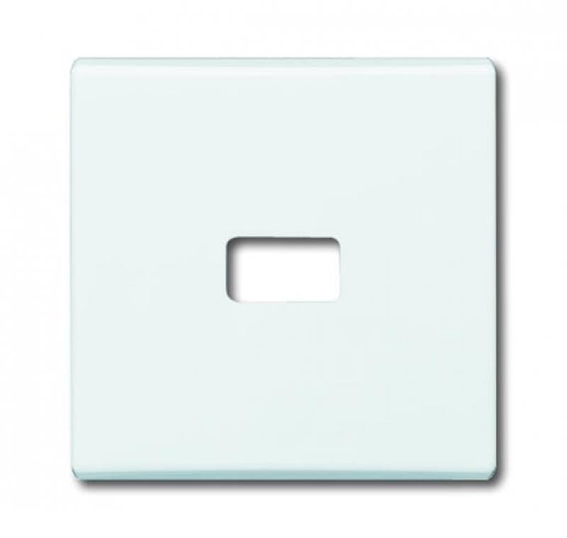 Busch-Jaeger 2120-32 Wippe offen für Symbol