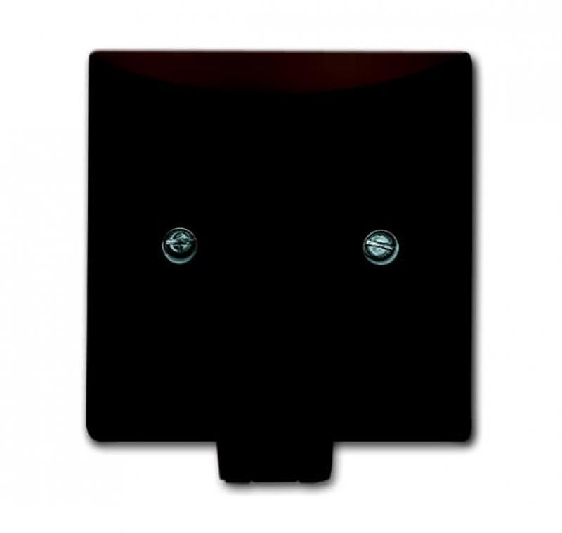 Busch-Jaeger 2133-31 Zentralscheibe mit Tragring