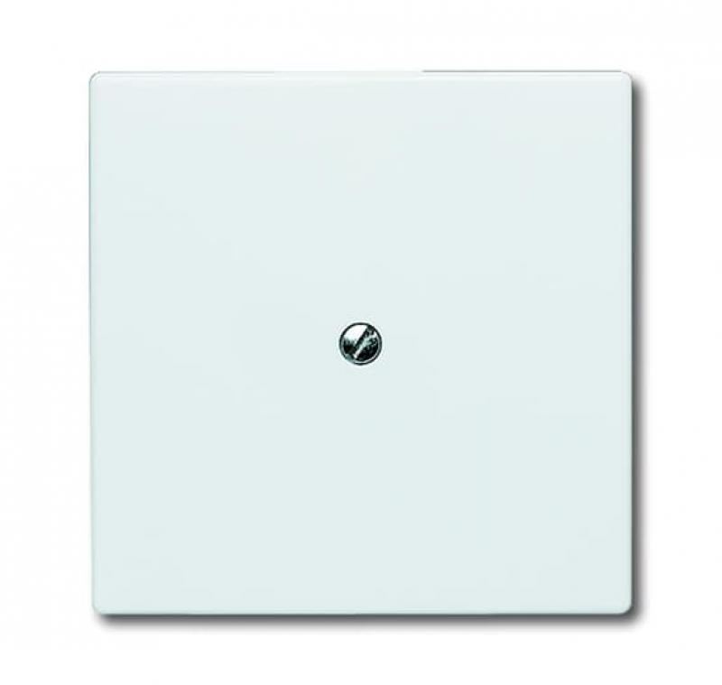 Busch-Jaeger 2138-34 Blindzentralscheibe mit Tragring