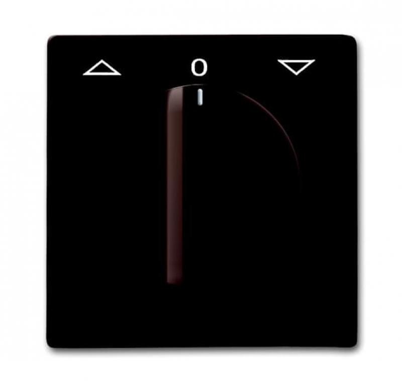 Busch-Jaeger 2142 DR-31 Zentralscheibe mit Drehgriff mit Aufdruck