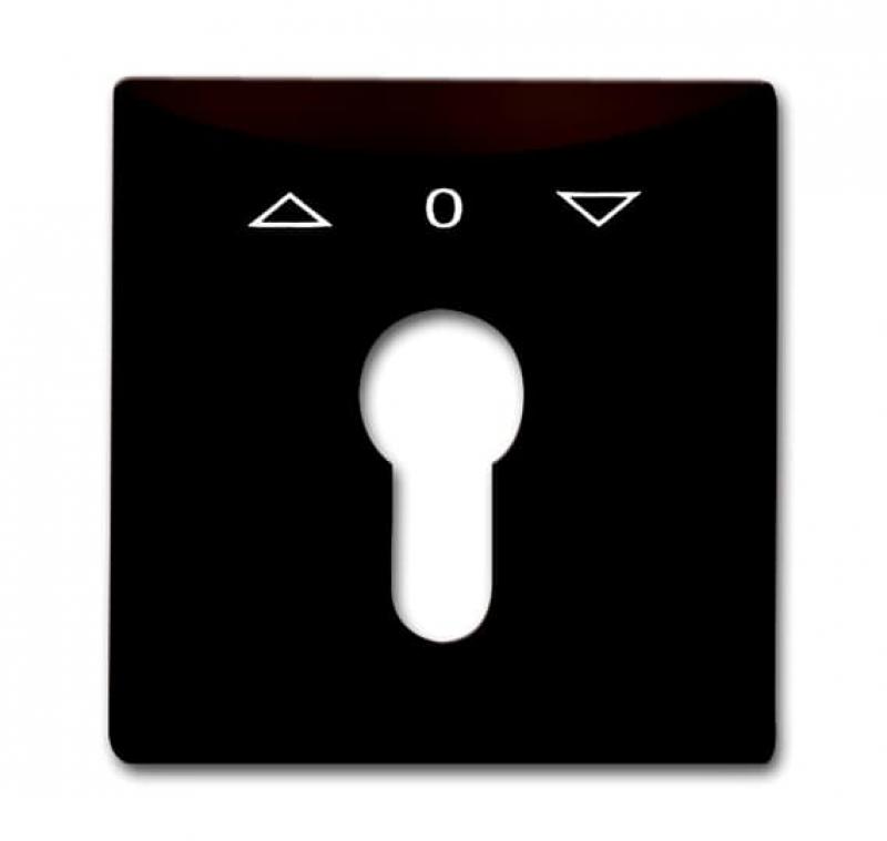 Busch-Jaeger 2155 PZ-31 Zentralscheibe mit Aufdruck