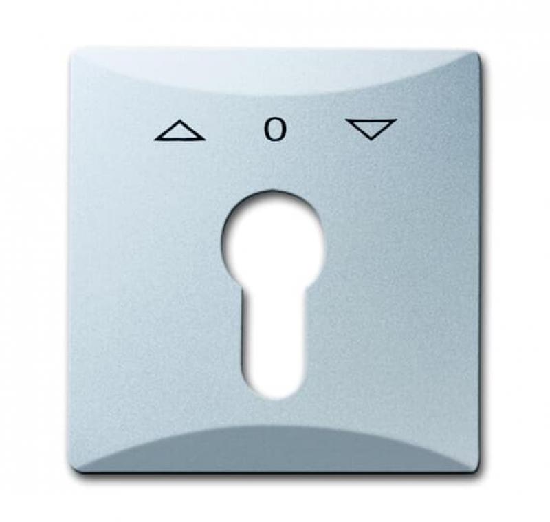 Busch-Jaeger 2155 PZ-33 Zentralscheibe mit Aufdruck