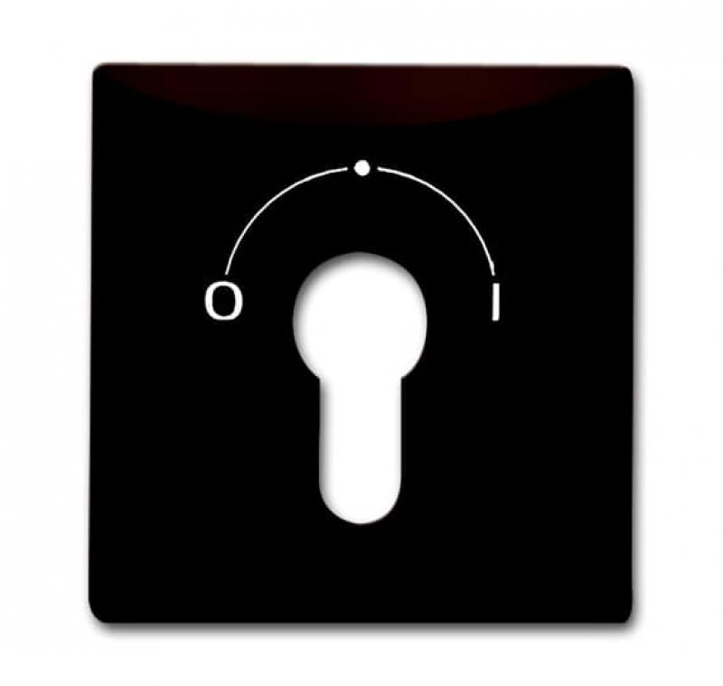 Busch-Jaeger 2155 SLPZ-31 Zentralscheibe mit Aufdruck