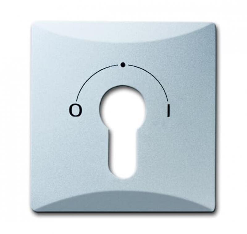 Busch-Jaeger 2155 SLPZ-33 Zentralscheibe mit Aufdruck