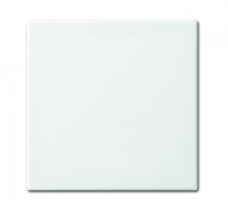 Busch-Jaeger 2506-914 Wippe geschlossen für Schaltereinsatz