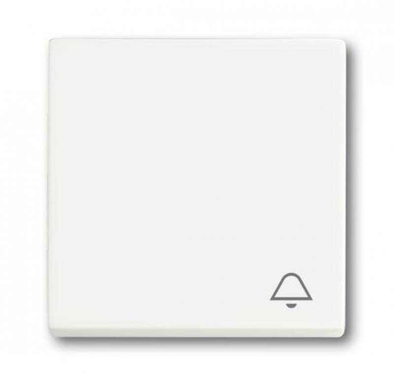 Busch-Jaeger 2520 KI-884 Wippe mit Aufdruck