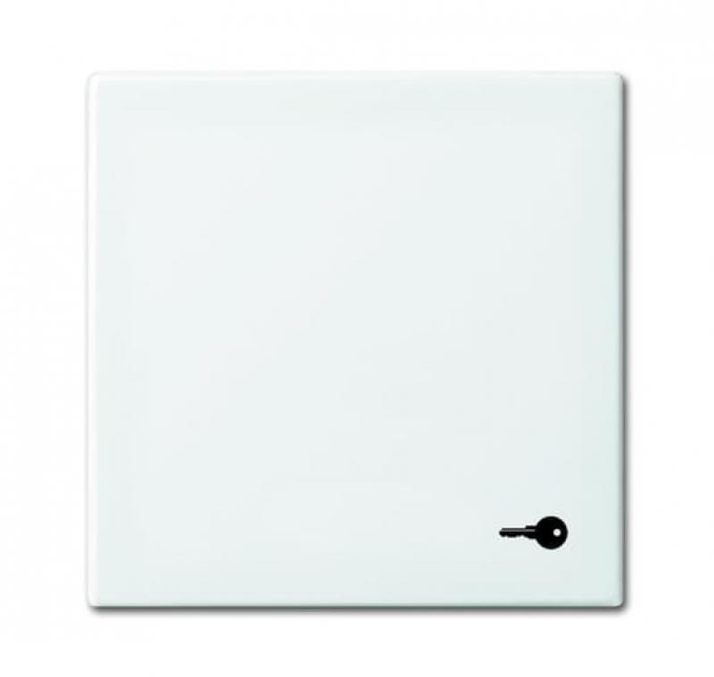 Busch-Jaeger 2520 TR-914 Wippe mit Aufdruck Mit Symbol "Schlüssel"