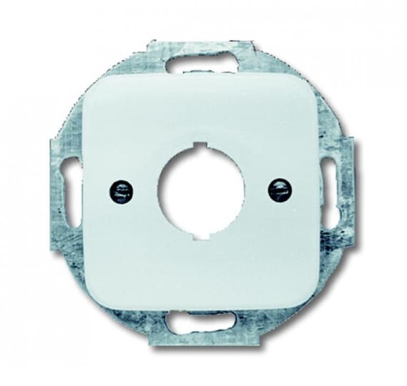 Busch-Jaeger 2533-214 Zentralscheibe mit Tragring