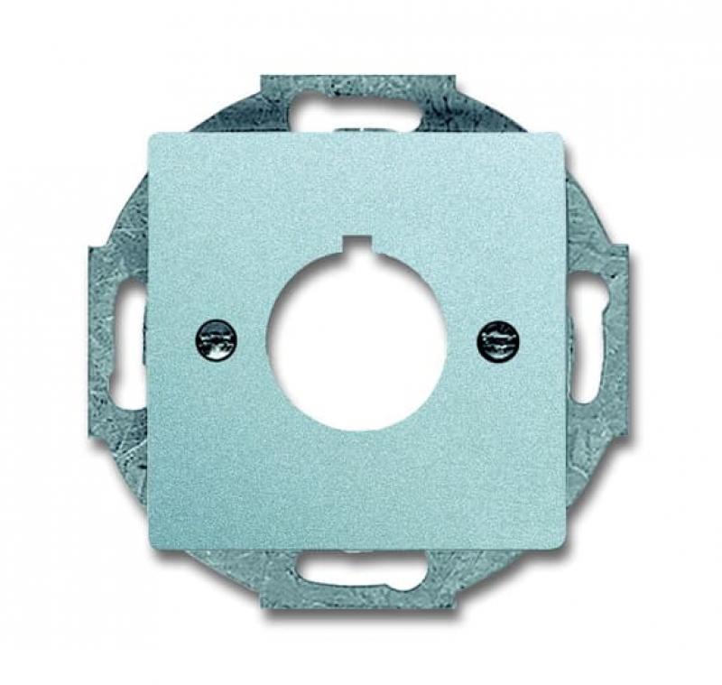 Busch-Jaeger 2533-83 Zentralscheibe mit Tragring