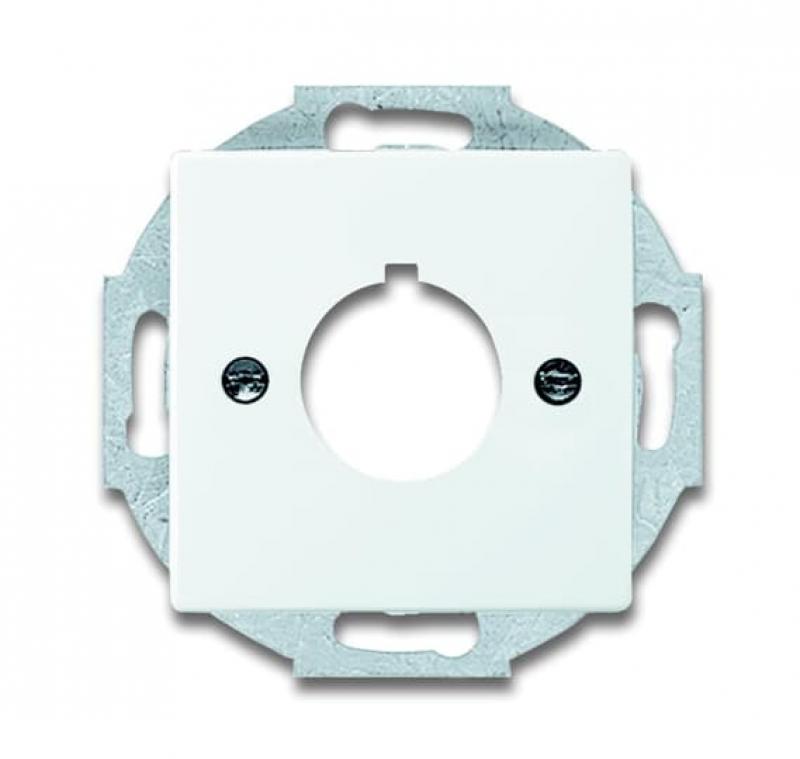 Busch-Jaeger 2533-84 Zentralscheibe mit Tragring