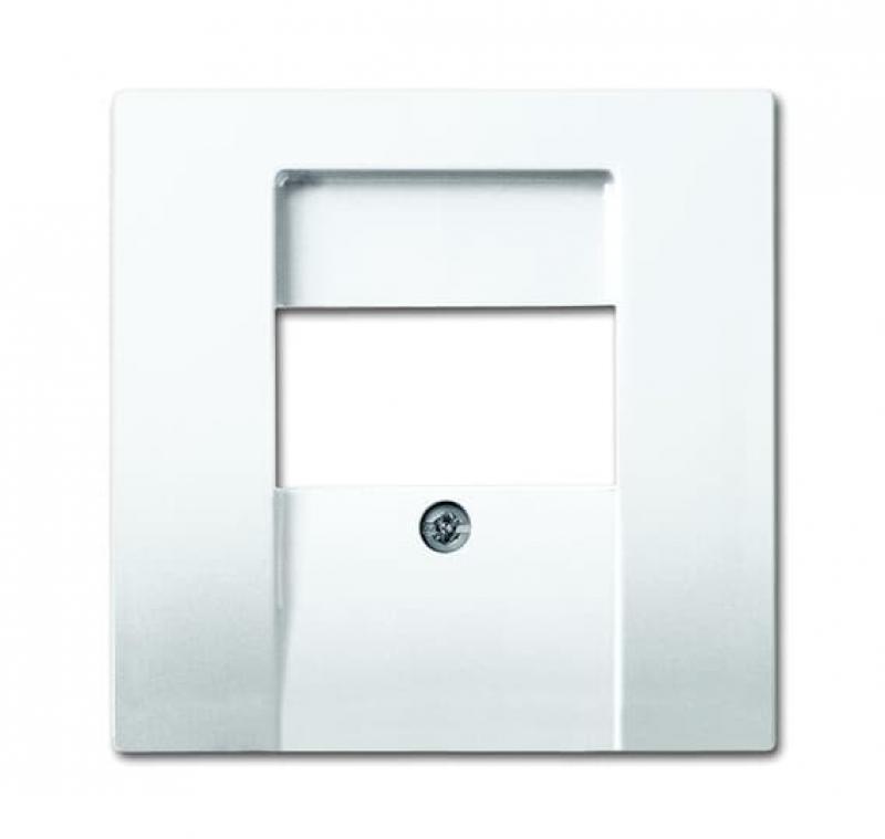 Busch-Jaeger 2539-914 Zentralscheibe