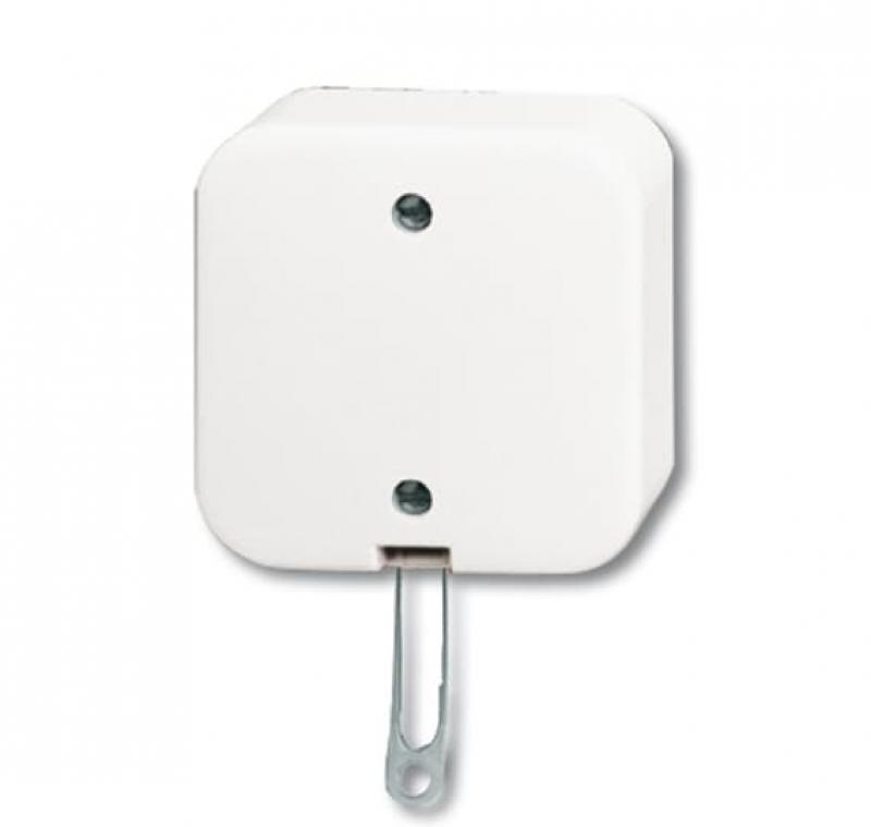 Busch-Jaeger 2610/6 APW Zugschalter Aus- und Wechselschaltung