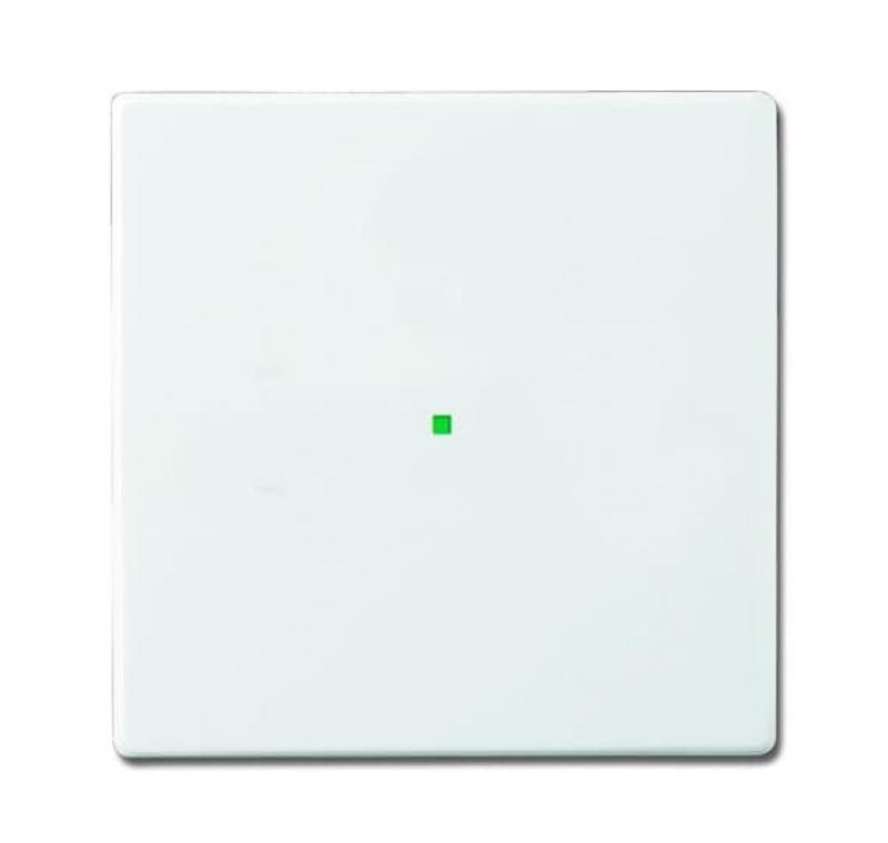 Busch-Jaeger 6230-10-84 Wippe 1-fach ohne Bedruckung