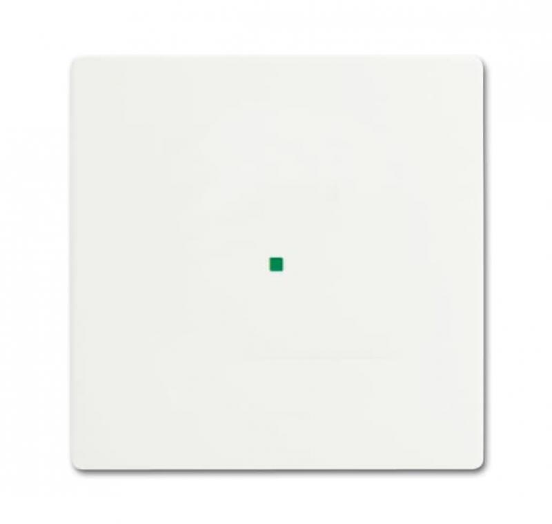 Busch-Jaeger 6230-10-884 Wippe 1-fach ohne Bedruckung