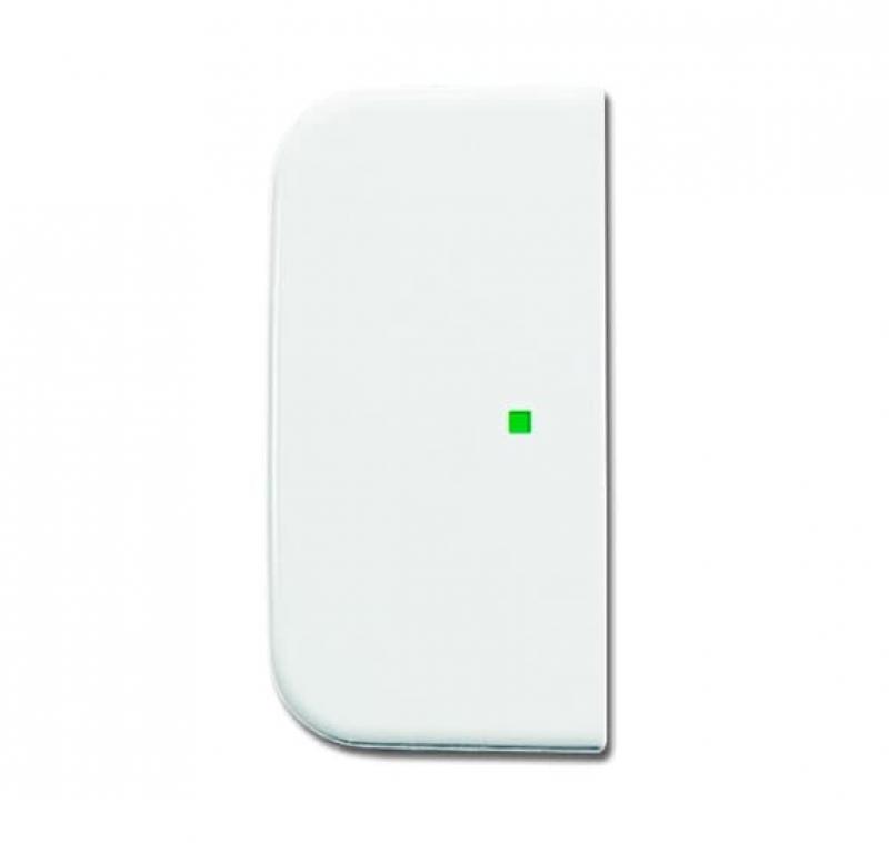 Busch-Jaeger 6230-20-214 Wippe 2-fach links/rechts ohne Bedruckung