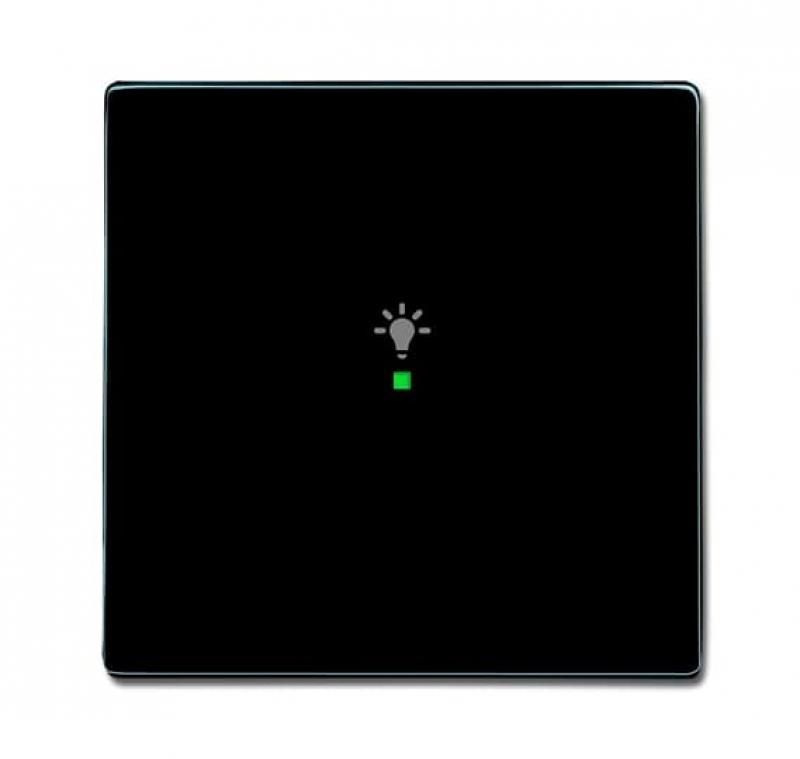 Busch-Jaeger 6231-10-81 Wippe 1-fach mit Symbol "Licht"