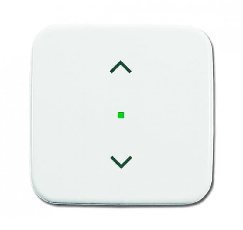 Busch-Jaeger 6232-10-214 Wippe 1-fach mit Symbol "Jalousie"