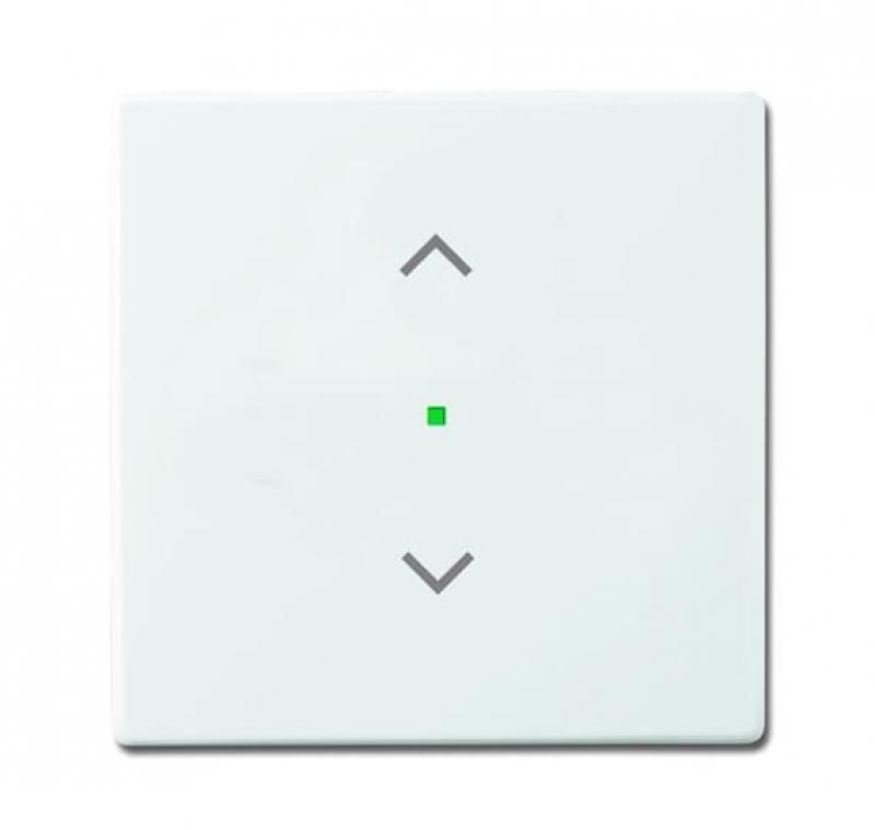 Busch-Jaeger 6232-10-84 Wippe 1-fach mit Symbol "Jalousie"