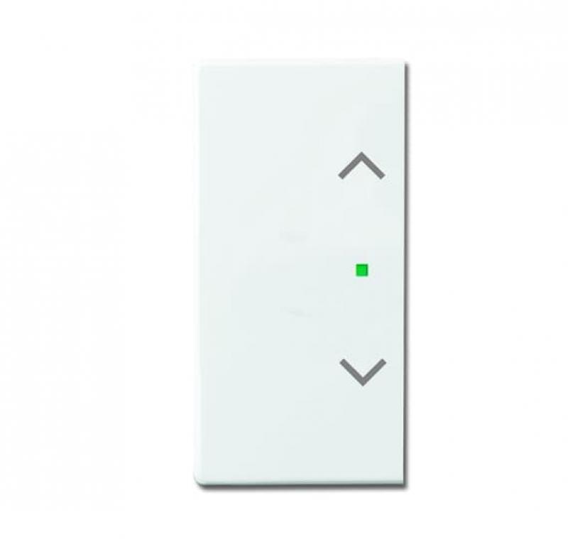 Busch-Jaeger 6232-20-84 Wippe 2-fach links/rechts mit Symbol "Jalousie"