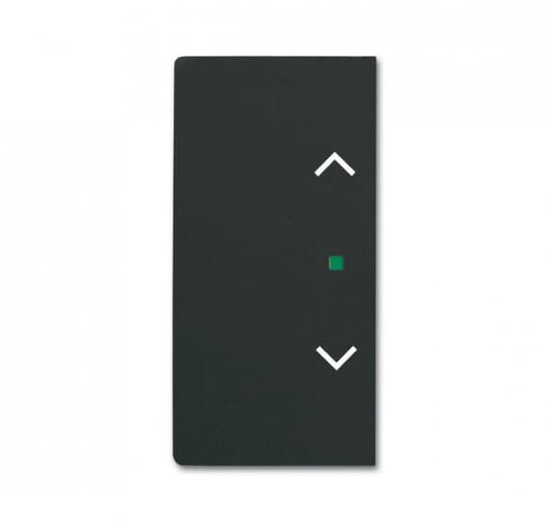 Busch-Jaeger 6232-20-885 Wippe 2-fach links/rechts mit Symbol "Jalousie"