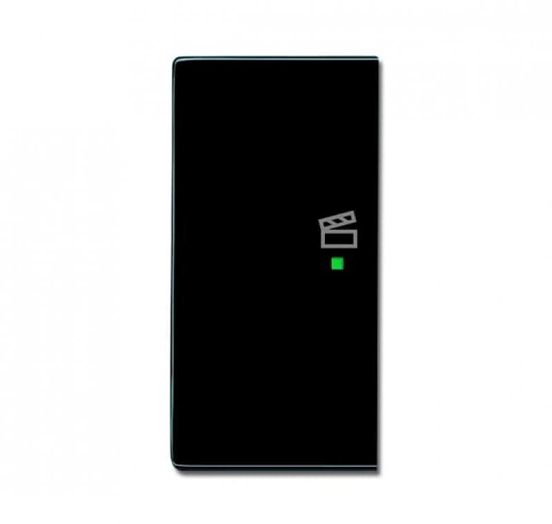 Busch-Jaeger 6233-21-81 Wippe 2-fach links mit Symbol "Szene"